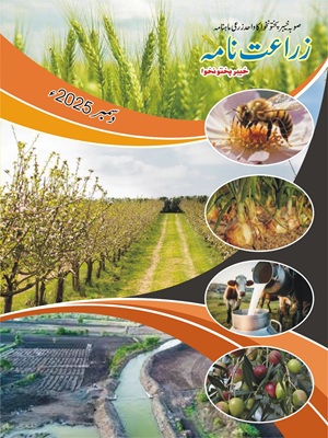 Zarat Nama December 2025